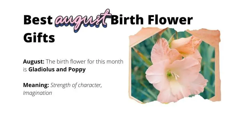 August Birth Flower Gifts