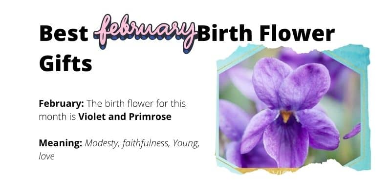February Birth Flower Gifts