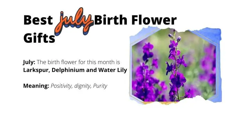 July Birth Flower Gifts