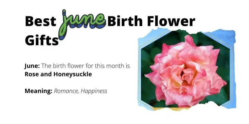 June Birth Flower Gifts