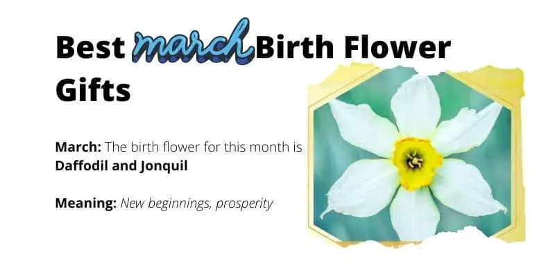 March Birth Flower Gifts
