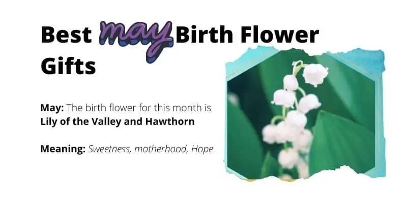May Birth Flower Gifts