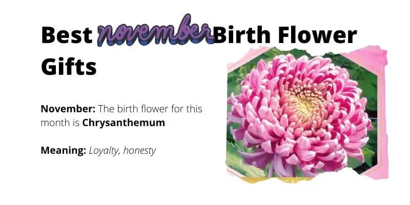 November Birth Flower Gifts