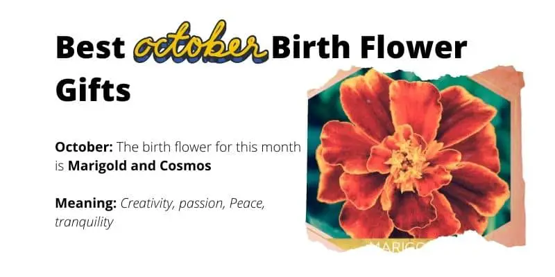 October Birth Flower Gifts