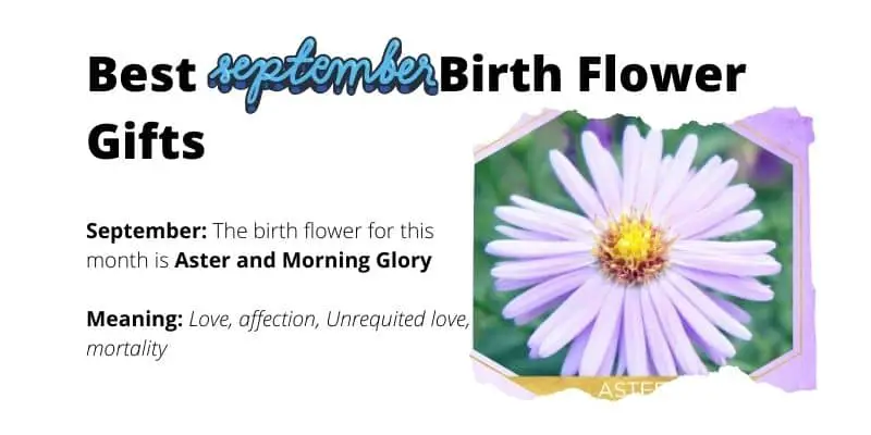 September Birth Flower Gifts